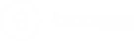logo tempus 11 anos.png